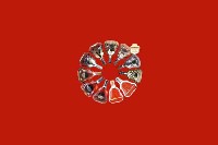 呼和浩特武川回收红酒